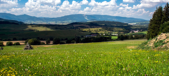 Veľký Šariš